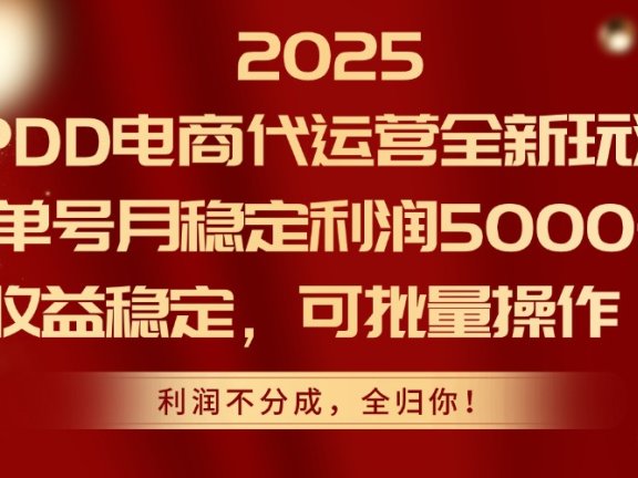 2025 PDD电商代运营全新玩法,单号月稳定利润5000+,收益稳定,可批量操作!